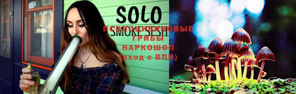 шишки Инта