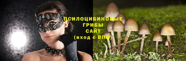 кокс Инсар