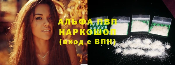 шишки Инта