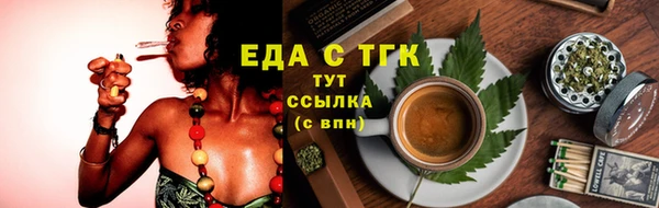 шишки Инта
