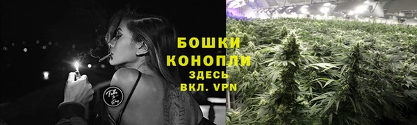 кокс Инсар