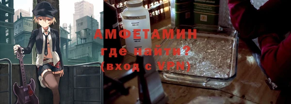 индика Иннополис