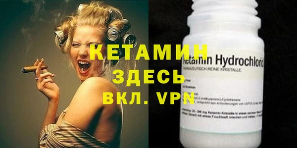 шишки Инта
