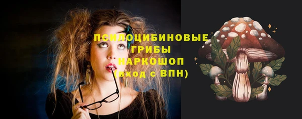 шишки Инта