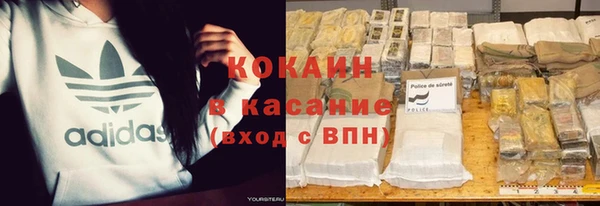 индика Иннополис