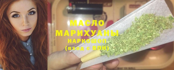шишки Инта