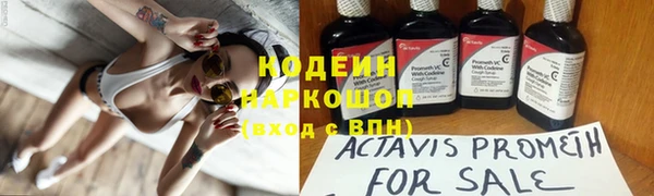 шишки Инта