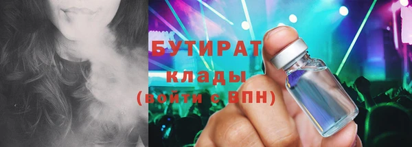 шишки Инта