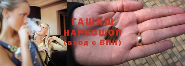 шишки Инта