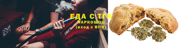 индика Иннополис