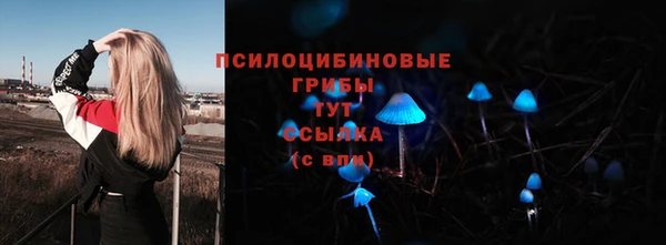 шишки Инта