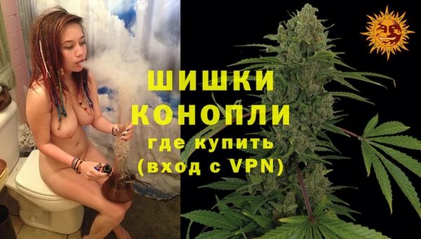 кокс Инсар
