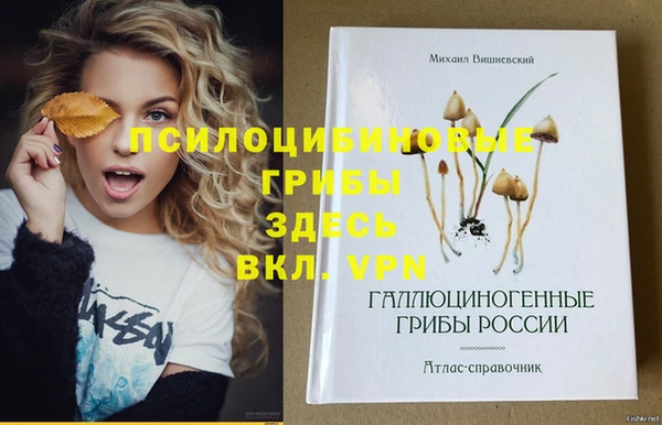 шишки Инта