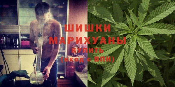 индика Иннополис