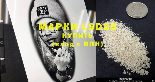 индика Иннополис