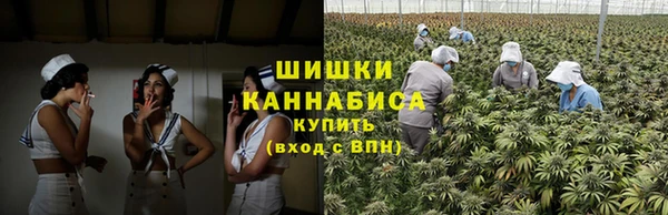 кокс Инсар