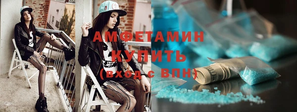 шишки Инта