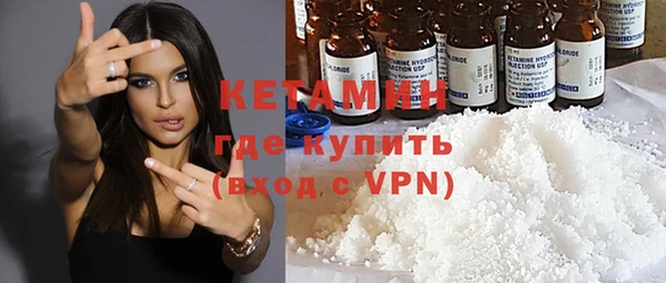 шишки Инта