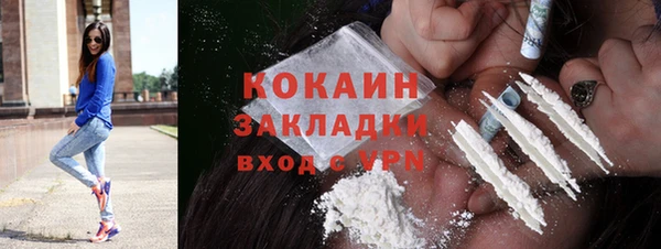 шишки Инта