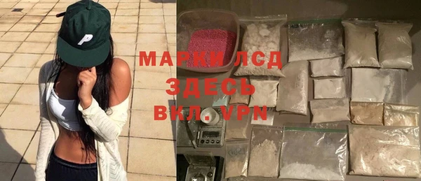 шишки Инта
