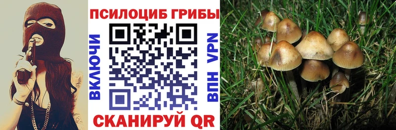 Галлюциногенные грибы мицелий  Купить где  Мурино 