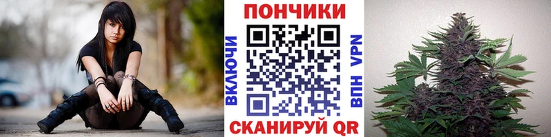 Купить где  Мурино  МАРИХУАНА SATIVA & INDICA 